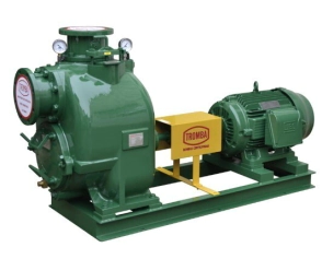 Bomba Autocebante TROMBA TAC 6 acoplada a motor de 40 HP 1500 rpm 380V